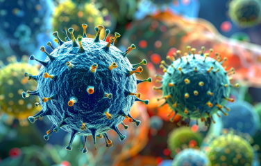 ¿Qué es y qué consecuencias trae el Virus del Papiloma Humano?