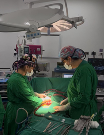 Cirugía Cardiovascular
